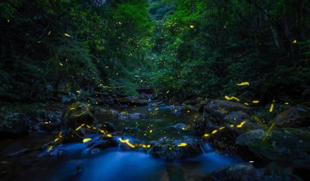 跳出深坑